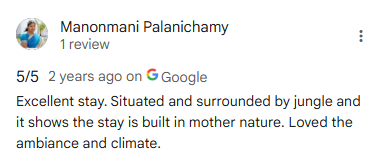 Google Review